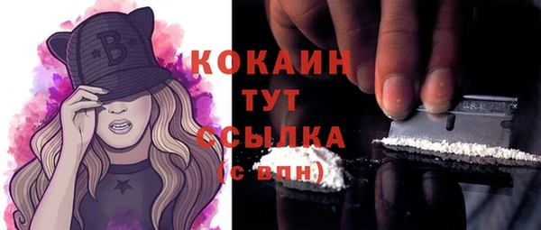 хмурый Лагань