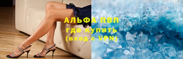 индика Кукмор