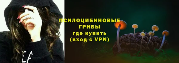 индика Ладушкин