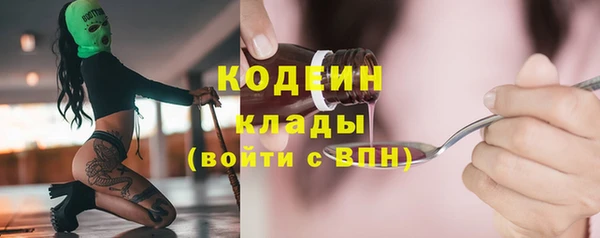 соль ск Кулебаки