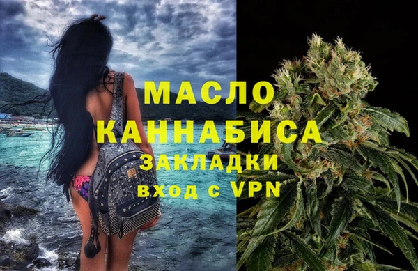 индика Ладушкин