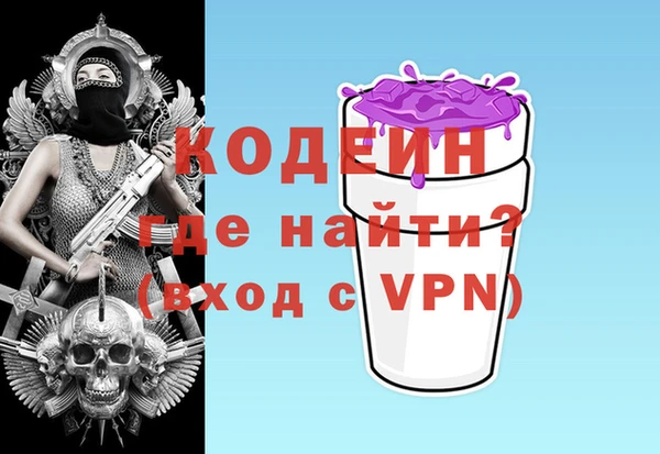 индика Ладушкин