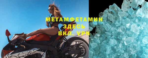 прущие грибы Великий Новгород