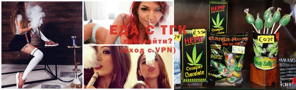 индика Ладушкин