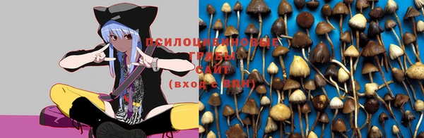 MESCALINE Михайлов