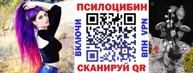 продажа наркотиков  Мосальск  Галлюциногенные грибы GOLDEN TEACHER 